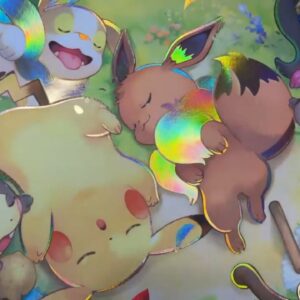 custom-foiled-pokemon-tcg-berry-sleepy-playmat-video